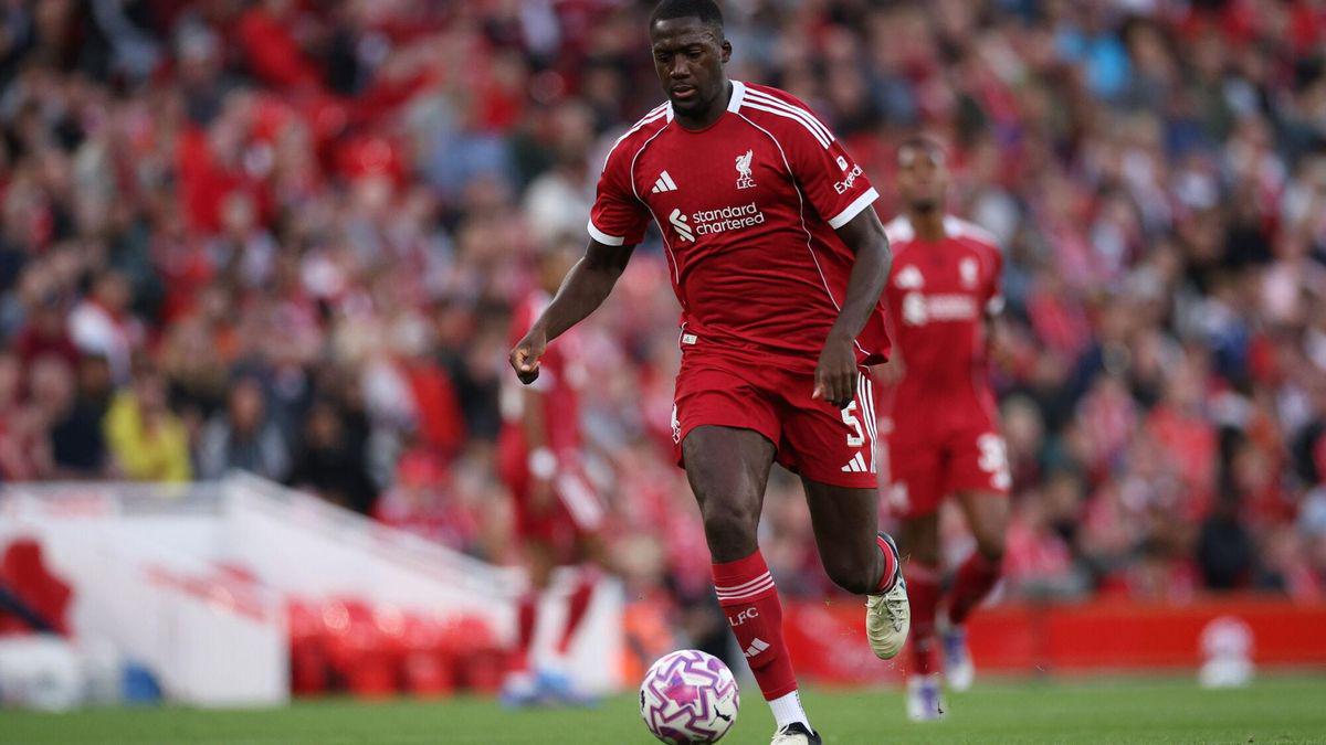 以避免明年 以避免明年